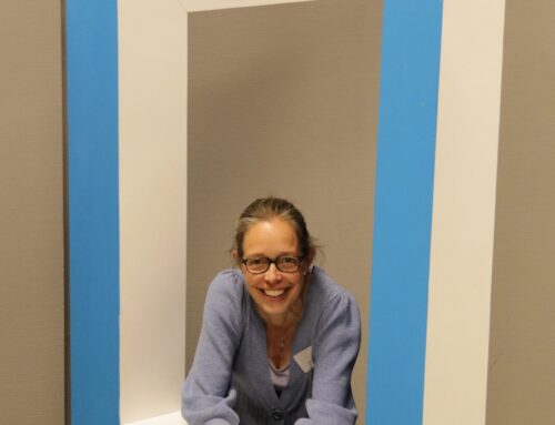 Remedial Teaching – PO en VO